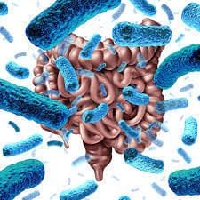 What's the big deal with human gut microbiome? What's the big deal with human gut microbiome?